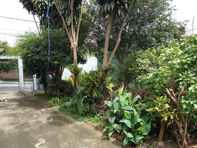 #427 - Terreno para Venda em São Paulo - SP - 2